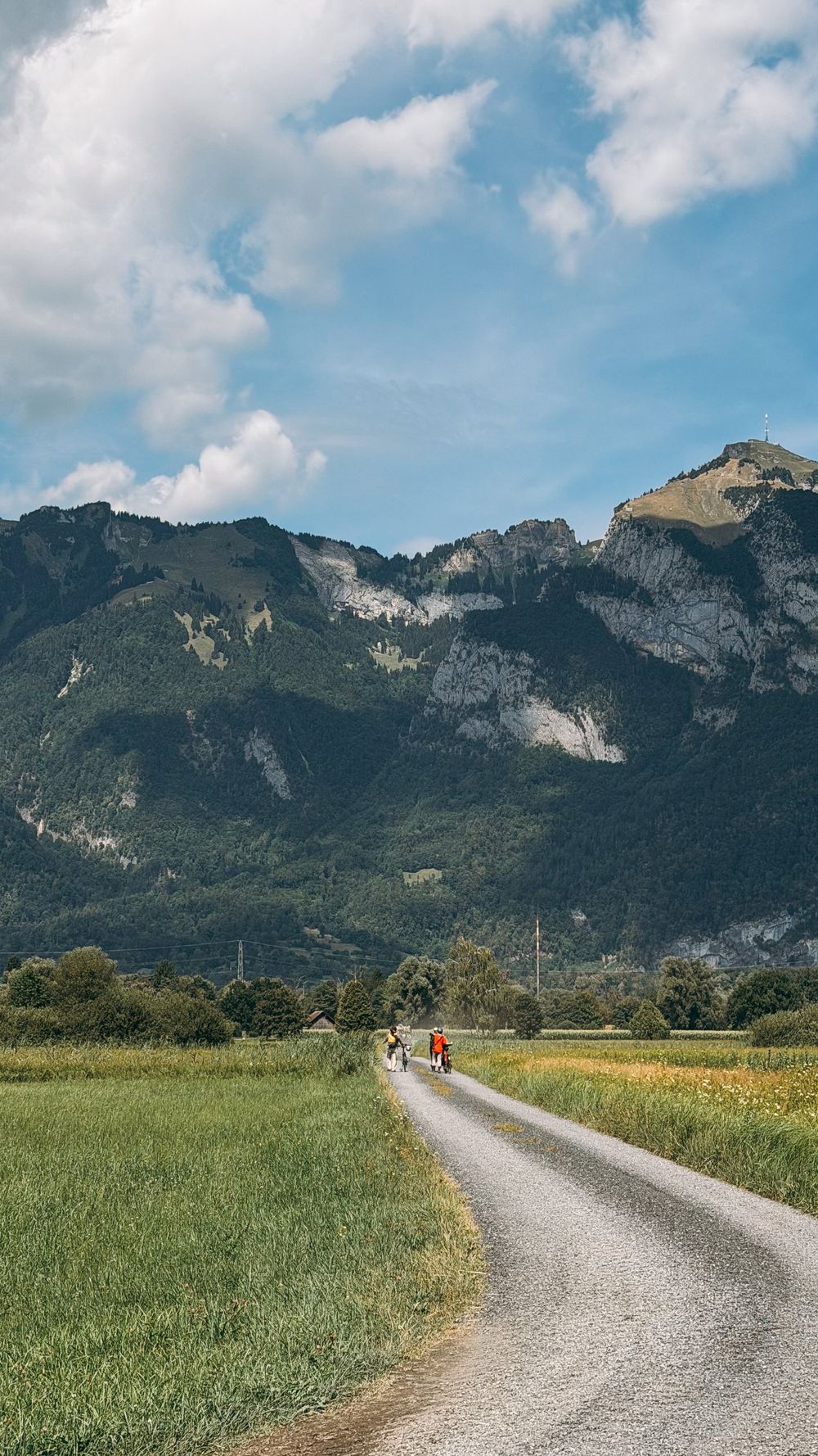 Cyclists on a gravel path through meadows below the mountains
