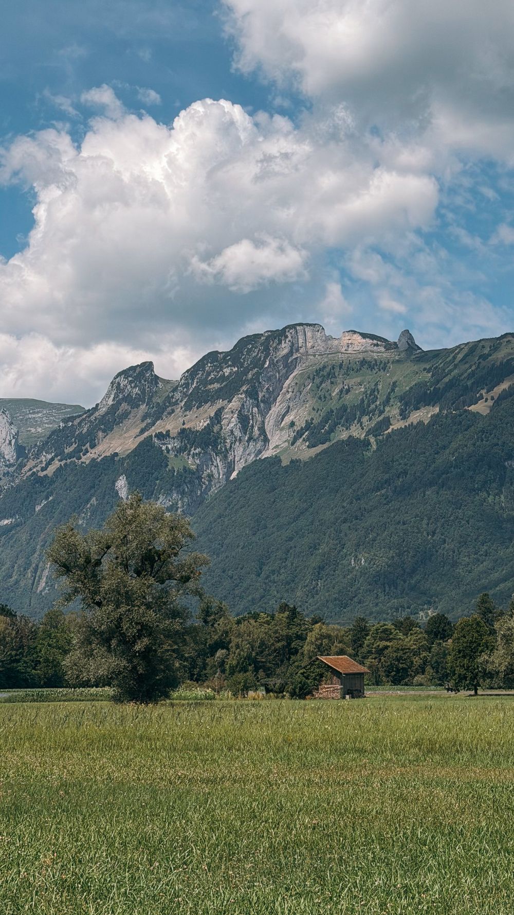 A small wooden barn in a meadow below rocky mountains