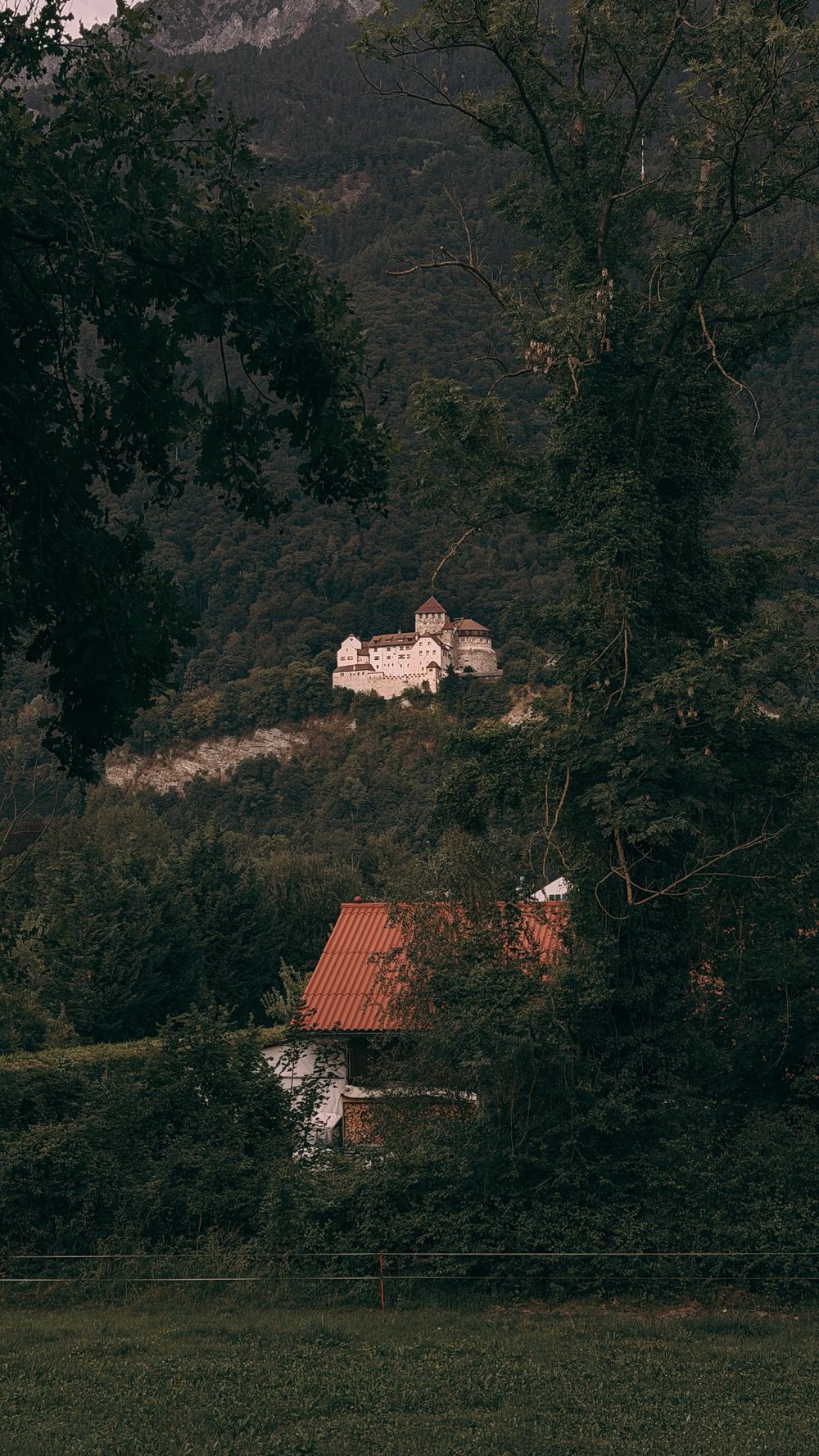 Vaduz Castle on the wooded hillside above the town